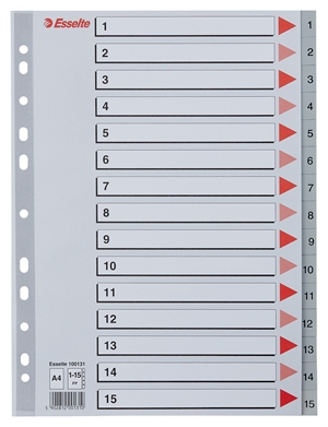 Esselte Register PP A4 1-12 grau